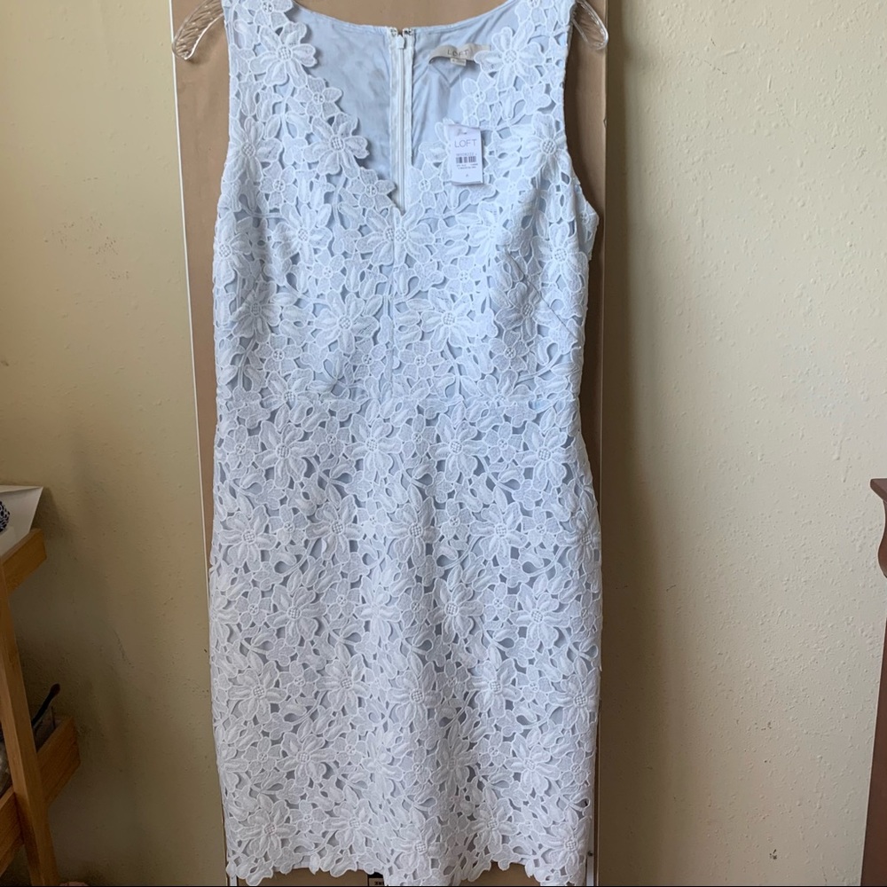 NWT Loft Lace Dress